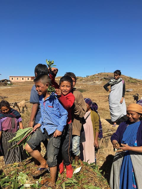 School children and teachers making compost in Laitsohpliah village, East Khasi Hills, with the support of NESFAS.